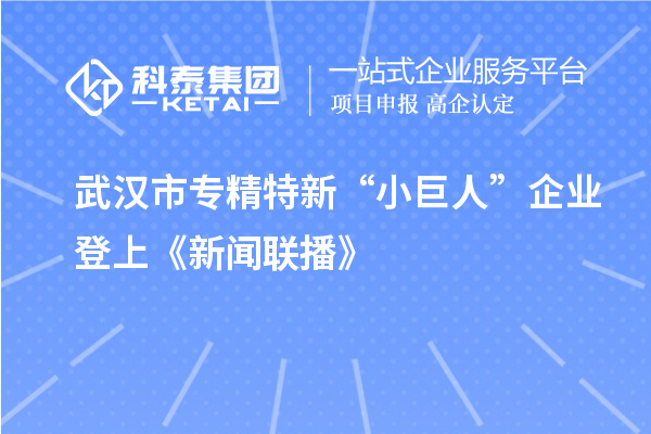 武漢市專精特新“小巨人”企業(yè)登上《新聞聯(lián)播》