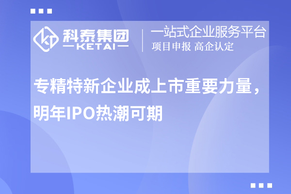 專精特新企業(yè)成上市重要力量，明年IPO熱潮可期