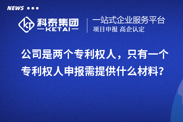 公司是兩個(gè)專利權(quán)人，只有一個(gè)專利權(quán)人申報(bào)需提供什么材料？