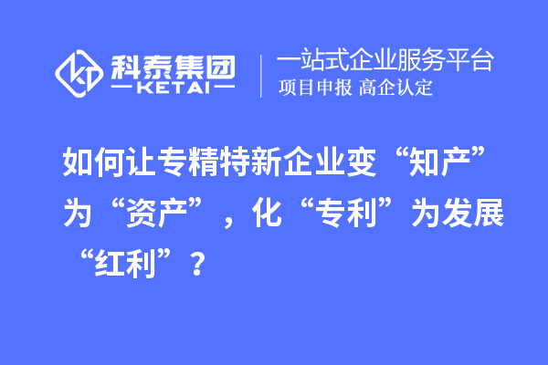 如何讓專精特新企業(yè)變“知產(chǎn)”為“資產(chǎn)”，化“專利”為發(fā)展“紅利”？