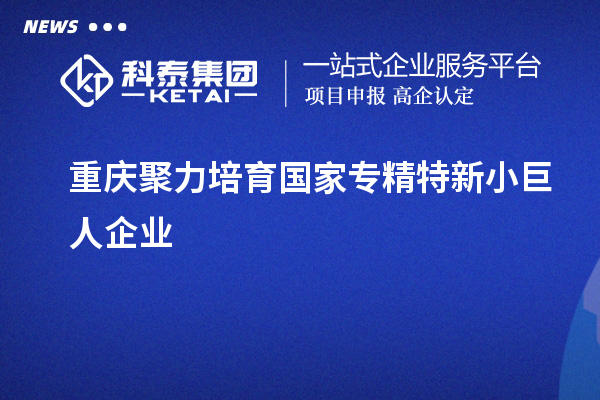 重慶聚力培育國家專精特新小巨人企業(yè)