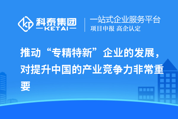 推動“專精特新”企業(yè)的發(fā)展，對提升中國的產(chǎn)業(yè)競爭力非常重要