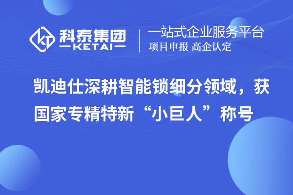 凱迪仕深耕智能鎖細(xì)分領(lǐng)域，獲國(guó)家專精特新“小巨人”稱號(hào)