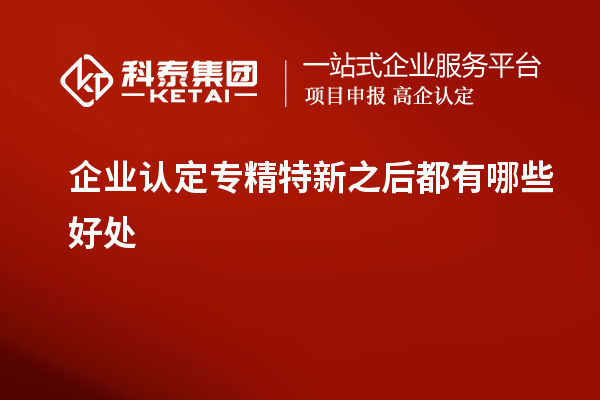 企業(yè)認(rèn)定專精特新之后都有哪些好處