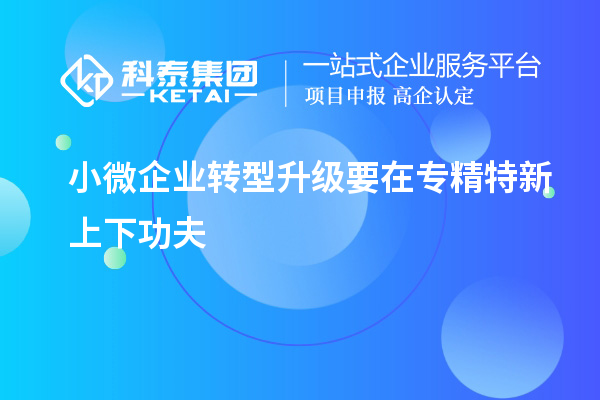 小微企業(yè)轉(zhuǎn)型升級要在專精特新上下功夫