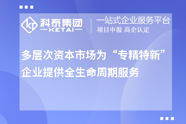 多層次資本市場為“專精特新”企業(yè)提供全生命周期服務(wù)