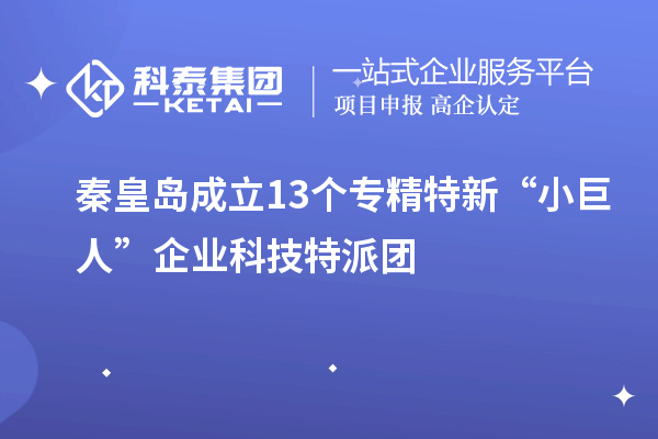 秦皇島成立13個(gè)專精特新“小巨人”企業(yè)科技特派團(tuán)