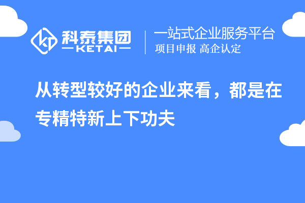 從轉(zhuǎn)型較好的企業(yè)來看，都是在專精特新上下功夫