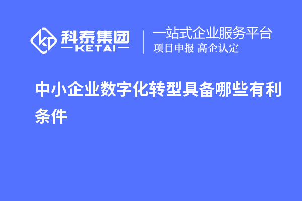 中小企業(yè)數(shù)字化轉(zhuǎn)型具備哪些有利條件