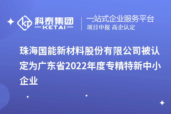 國(guó)能新材被認(rèn)定為廣東省2022年度專精特新中小企業(yè)