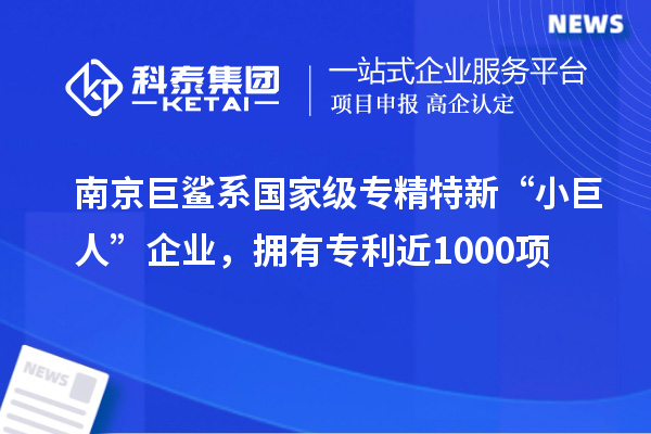 南京巨鯊系國家級專精特新“小巨人”企業(yè)，擁有專利近1000項