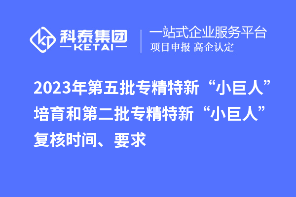 2023年第五批專精特新“小巨人”培育和第二批專精特新“小巨人”復(fù)核時間、要求