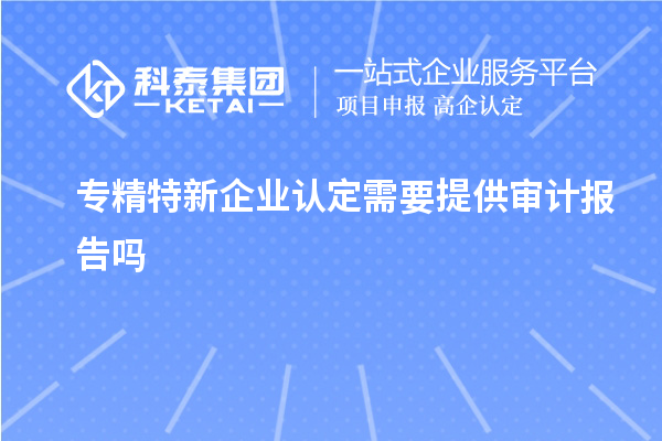 專精特新企業(yè)認(rèn)定需要提供審計(jì)報(bào)告嗎