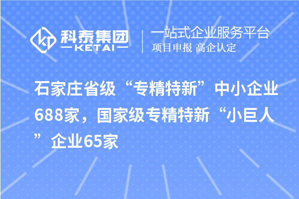 石家莊省級(jí)“專精特新”中小企業(yè)688家，國家級(jí)專精特新“小巨人”企業(yè)65家