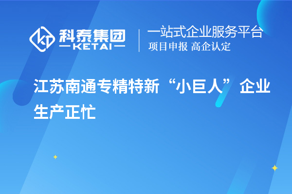 江蘇南通專精特新“小巨人”企業(yè)生產(chǎn)正忙