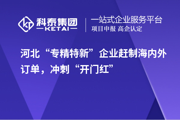 河北“專精特新”企業(yè)趕制海內(nèi)外訂單，沖刺“開門紅”