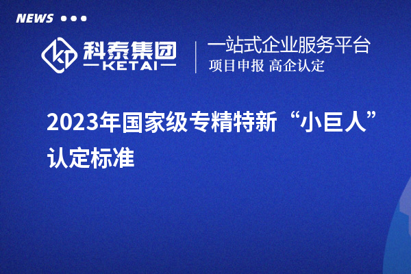 2023年國家級(jí)專精特新“小巨人”認(rèn)定標(biāo)準(zhǔn)