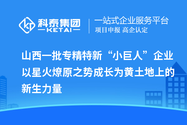 山西一批專精特新“小巨人”企業(yè)以星火燎原之勢成長為黃土地上的新生力量