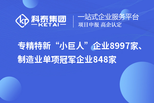 專精特新“小巨人”企業(yè)8997家、制造業(yè)單項(xiàng)冠軍企業(yè)848家