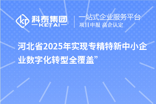 河北省2025年實(shí)現(xiàn)專精特新中小企業(yè)數(shù)字化轉(zhuǎn)型全覆蓋”