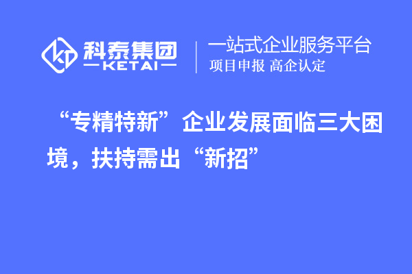 “專精特新”企業(yè)發(fā)展面臨三大困境，扶持需出“新招”