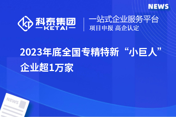 2023年底全國專精特新“小巨人”企業(yè)超1萬家