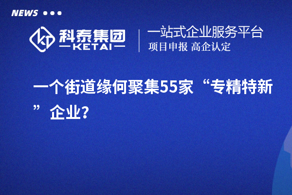 一個(gè)街道緣何聚集55家“專(zhuān)精特新”企業(yè)？