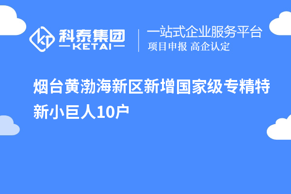 煙臺(tái)黃渤海新區(qū)新增國(guó)家級(jí)專(zhuān)精特新小巨人10戶