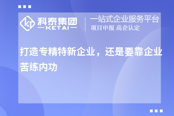 打造專精特新企業(yè)，還是要靠企業(yè)苦練內功