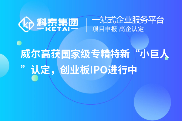 威爾高獲國家級專精特新“小巨人”認(rèn)定，創(chuàng)業(yè)板IPO進行中