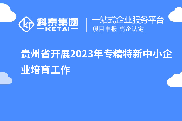 貴州省開(kāi)展2023年專精特新中小企業(yè)培育工作