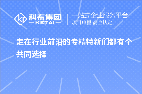 走在行業(yè)前沿的專精特新們都有個共同選擇