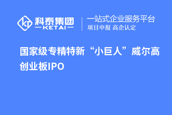 國家級專精特新“小巨人”威爾高創(chuàng)業(yè)板IPO