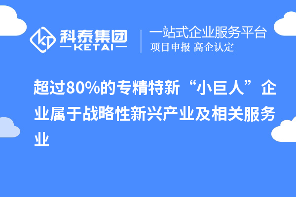 超過(guò)80%的專精特新“小巨人”企業(yè)屬于戰(zhàn)略性新興產(chǎn)業(yè)及相關(guān)服務(wù)業(yè)