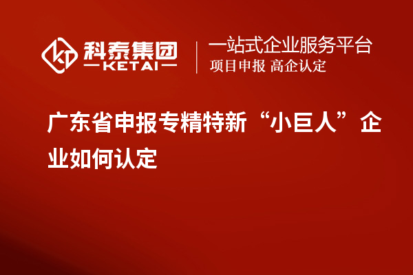 廣東省申報(bào)專精特新“小巨人”企業(yè)如何認(rèn)定