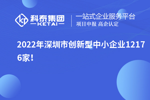 2022年深圳市創(chuàng)新型中小企業(yè)12176家！