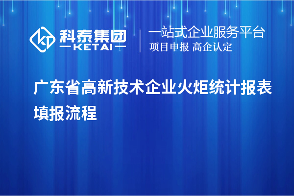 廣東省高新技術(shù)企業(yè)火炬統(tǒng)計報表填報流程