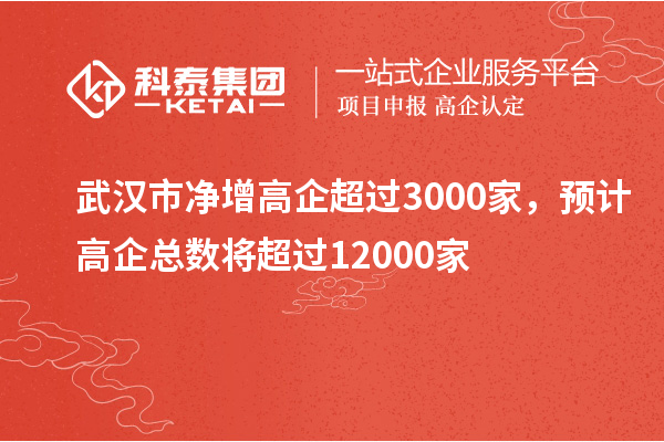 武漢市凈增高企超過3000家，預(yù)計(jì)高企總數(shù)將超過12000家