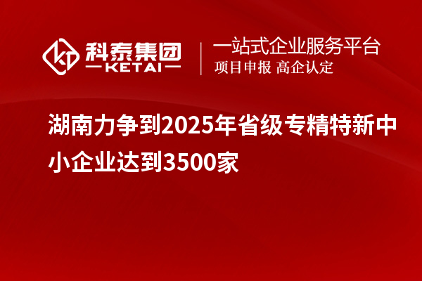 湖南力爭到2025年省級專精特新中小企業(yè)達到3500家