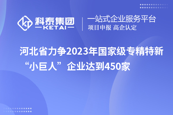 河北省力爭2023年國家級專精特新“小巨人”企業(yè)達到450家