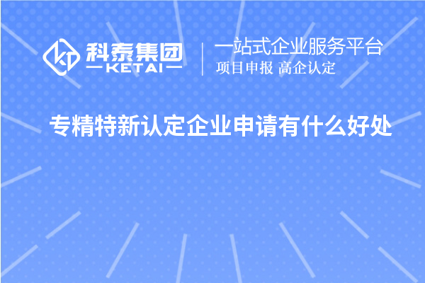 專精特新認定企業(yè)申請有什么好處