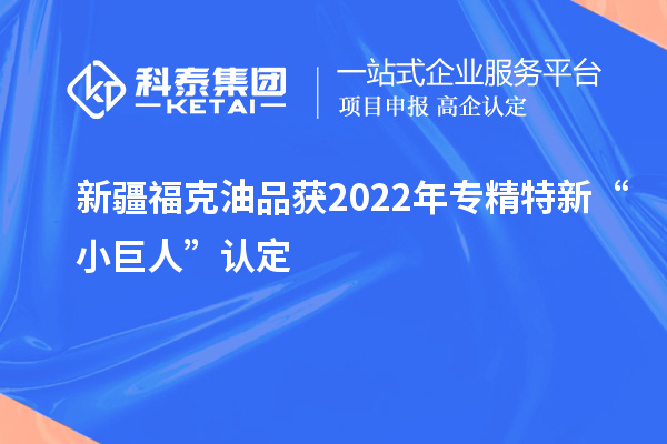 新疆?？擞推帆@2022年專精特新“小巨人”認(rèn)定