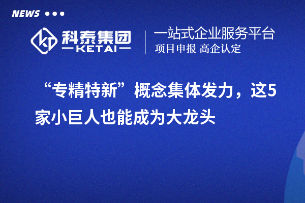 “專精特新”概念集體發(fā)力，這5家小巨人也能成為大龍頭