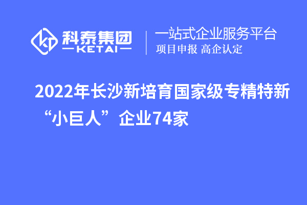 2022年長沙新培育國家級專精特新“小巨人”企業(yè)74家