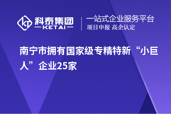 南寧市擁有國(guó)家級(jí)專精特新“小巨人”企業(yè)25家