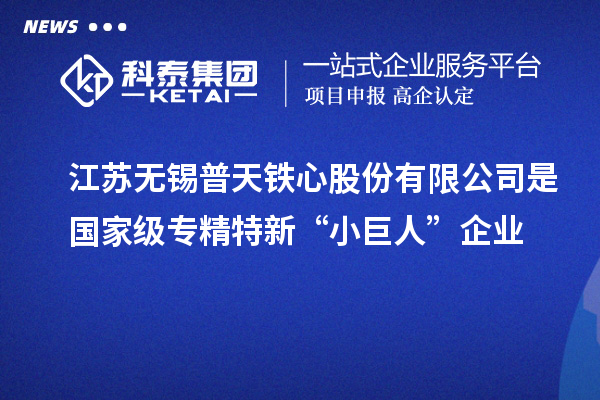 江蘇無(wú)錫普天鐵心股份有限公司是國(guó)家級(jí)專精特新“小巨人”企業(yè)