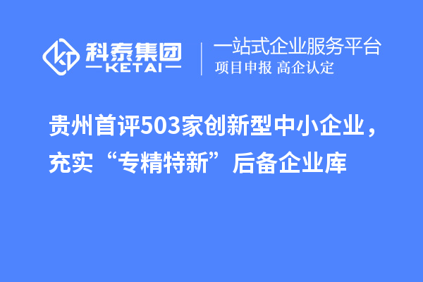 貴州首評(píng)503家創(chuàng)新型中小企業(yè)，充實(shí)“專精特新”后備企業(yè)庫(kù)