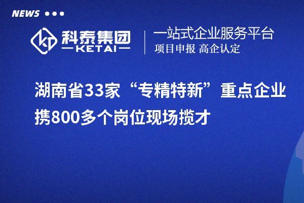 湖南省33家“專精特新”重點(diǎn)企業(yè)攜800多個(gè)崗位現(xiàn)場(chǎng)攬才