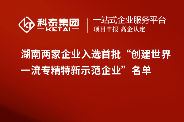 湖南兩家企業(yè)入選首批“創(chuàng)建世界一流專精特新示范企業(yè)”名單