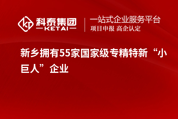 新鄉(xiāng)擁有55家國家級專精特新“小巨人”企業(yè)